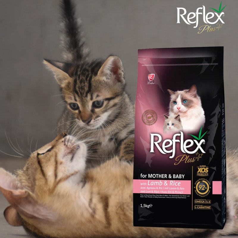 خرید غذای خشک گربه رفلکس پلاس مدل Mother & Baby